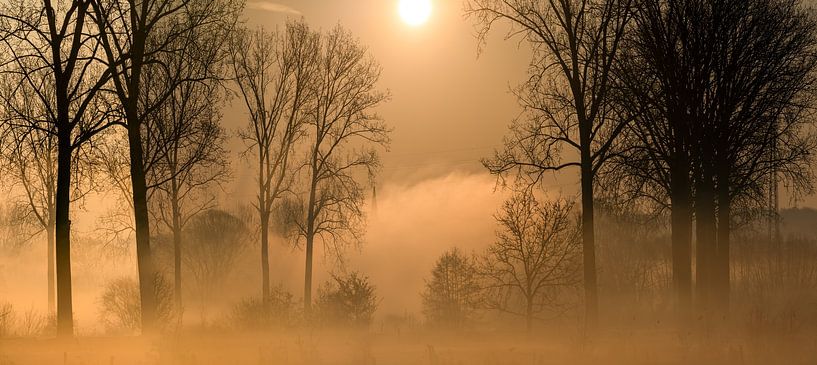 Brouillard entrant par un matin ensoleillé et glacial sur la Dendre. par Marcel Derweduwen