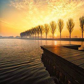 Sunrise reflection in the wet jetty near Avenhorn by peterheinspictures