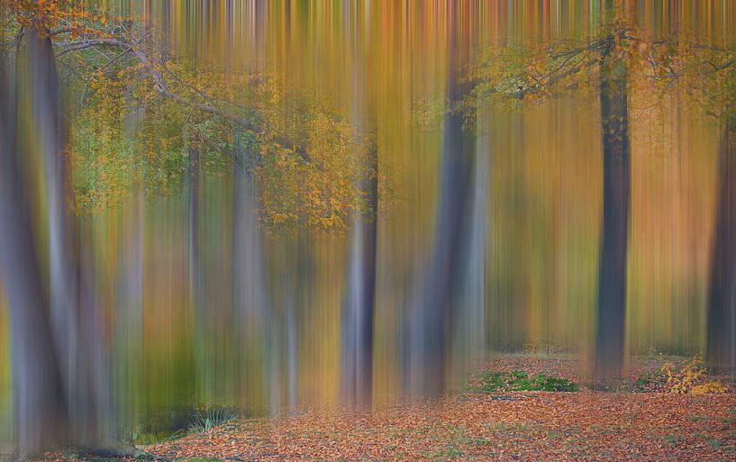 Gekleurde herfst von Ina van Lambalgen