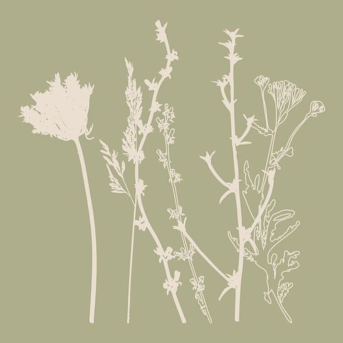 Zomerbloemen en grassen in wit en salie III