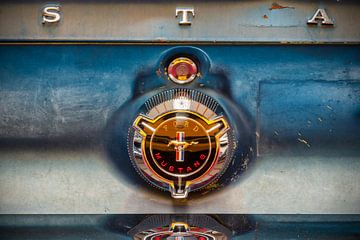 De Vintage Ford Mustang van Martin Bergsma
