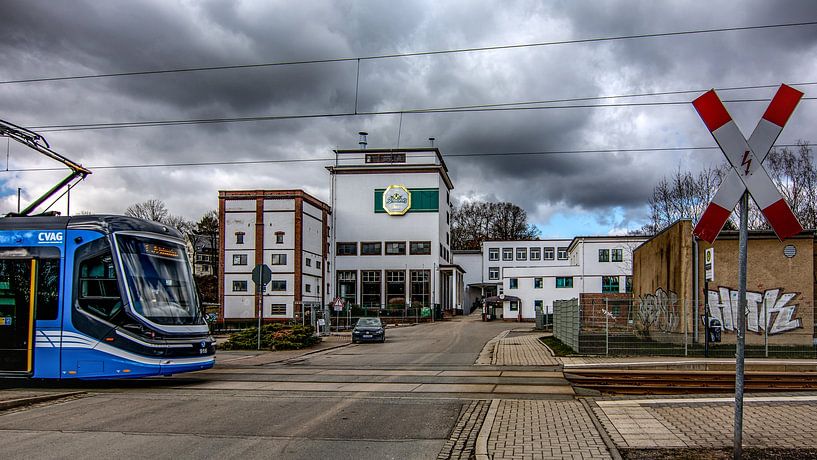 Chemnitz Brown Pride by Johnny Flash