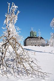 Kahler Asten, Sauerland, Germany by Alexander Ludwig