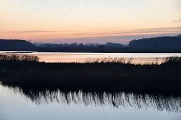 L'hiver dans le Braakman (5)