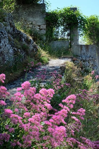 Blütenmeer in Aigunes von Flatfield