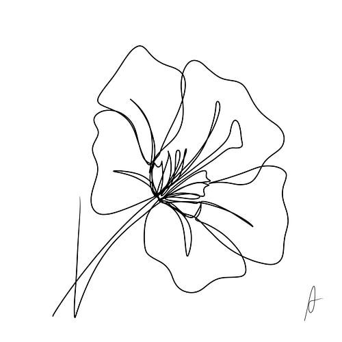 Une ligne dessinant l'Hibiscus