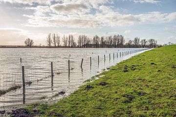 Hochwasser am Fuß eines niederländischen Deiches