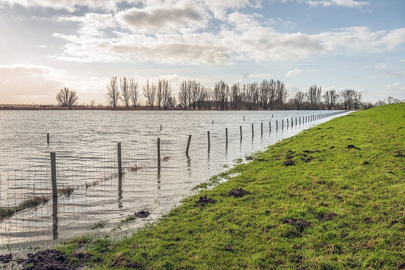High water at the foot of a Dutch dike by Ruud Morijn