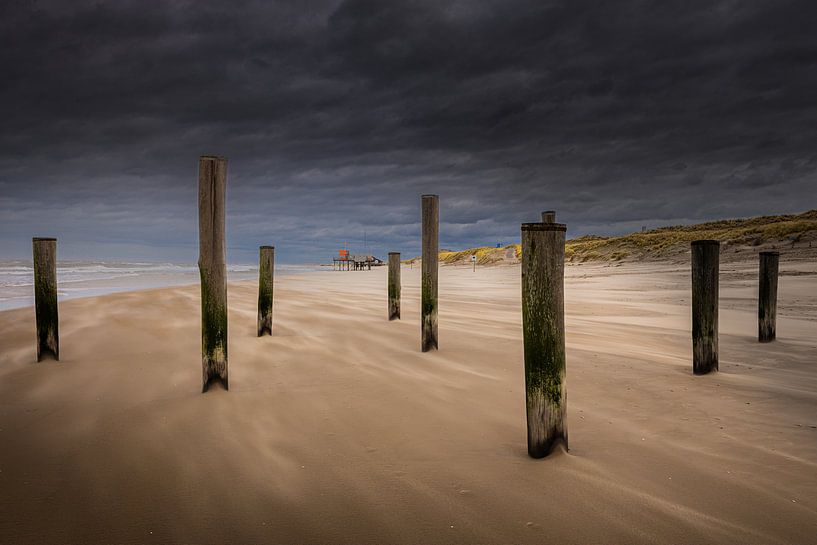 Palm village near Petten by peterheinspictures