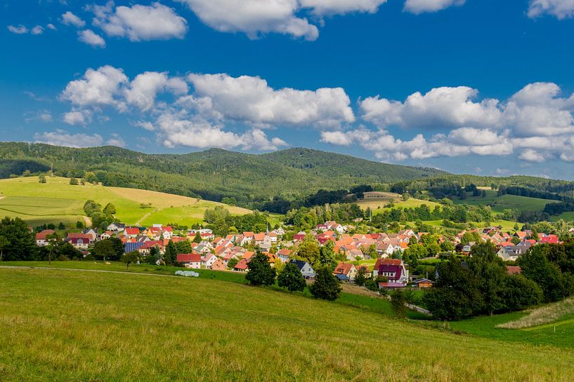 Prachtig landschap bij de Rennsteig/Thüringerwoud van Oliver Hlavaty