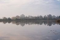 The trees in the polder near Tienhoven one morning in autumn by Michel Geluk thumbnail