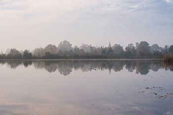 Les arbres dans le polder près de Tienhoven un matin d'automne