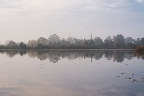 Les arbres dans le polder près de Tienhoven un matin d'automne