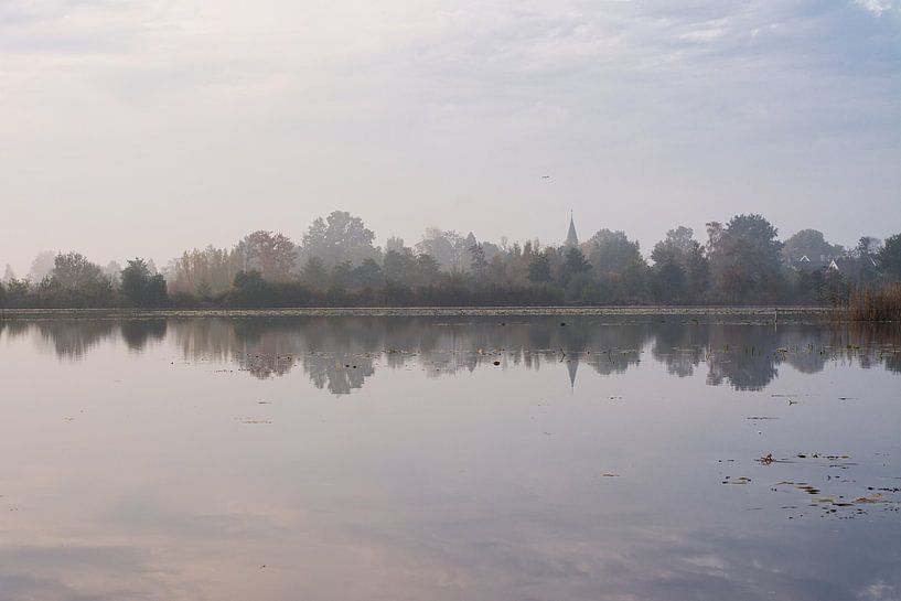 The trees in the polder near Tienhoven one morning in autumn by Michel Geluk