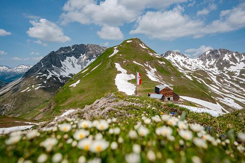 Bloemrijk uitzicht op de Lechtaler Alpen en de Stuttgarter Hütte