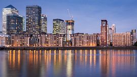 Golden Gaze von Scott McQuaide