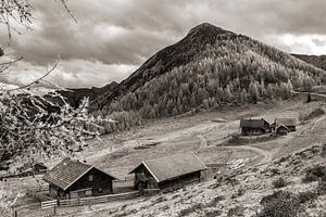 Die Lackenalm in Sepia
