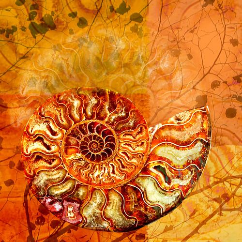 Die Schöpfung der Natur