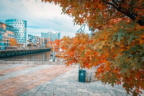 Herfst in Hamburg als moderne muurschildering