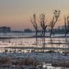 sunrise at Bourgoyen park van Koen Ceusters
