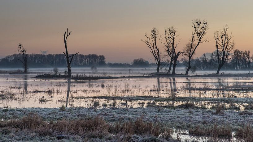 sunrise at Bourgoyen park van Koen Ceusters