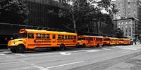 De schoolbussen van New York van Hannes Cmarits thumbnail