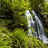 Waterval van Robbe Demeulenaere