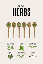 Kräuter Küche Poster