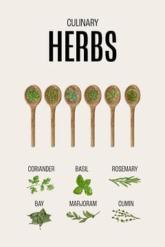 Herbs Kitchen Poster by Marian Nieuwenhuis