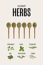 Herbs Kitchen Poster by Marian Nieuwenhuis thumbnail