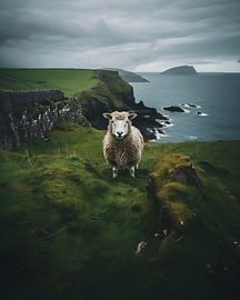 Sheep on a green island