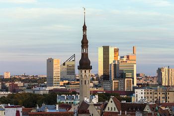 TALLINN 06