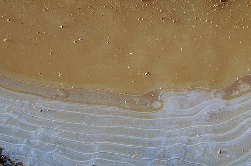 Rivage glacé