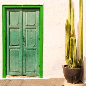 Cactus and green door by Caroline Guerain