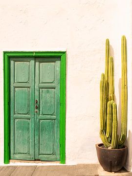 Cactus en groene deur