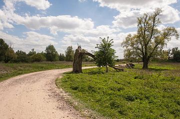 Weg in de natuur van Karin School-van Leur