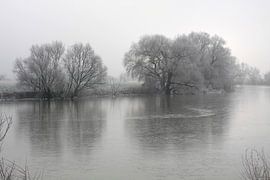 On the Saale in fog and blight by Karina Gebert