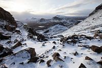 Winter Landscape