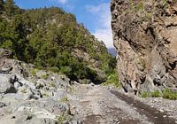 Boom- en rotsformaties in Caldera de Taburiente