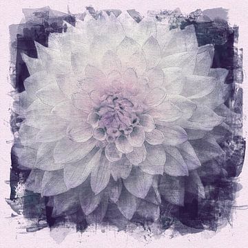 Witte dahlia, acryl schilderij