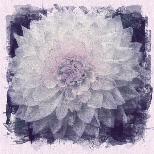White dahlia, acrylic painting by Rietje Bulthuis