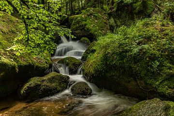 Stream in the Northern Black Forest by Georg Mussack