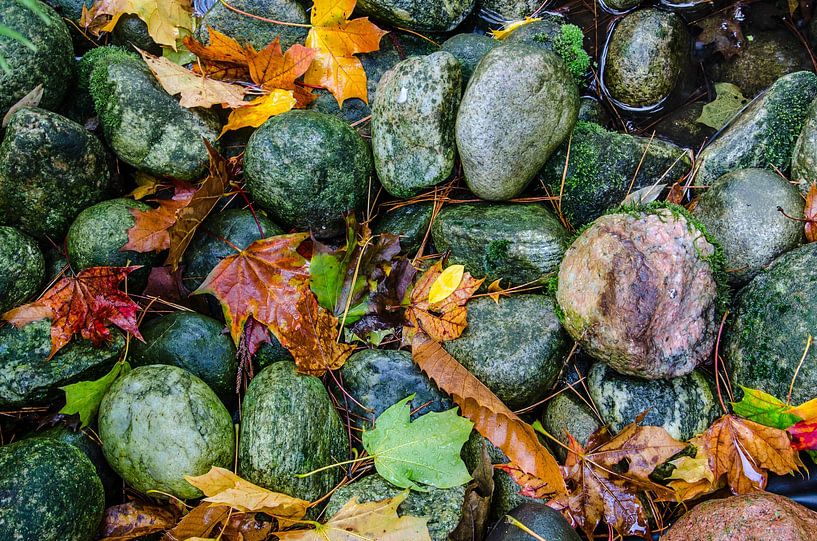 Pierres d'automne par Tanja de Boer