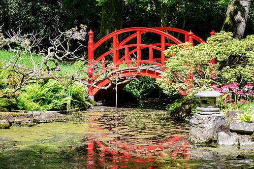 Rood bruggetje in De Japanse Tuin Den Haag