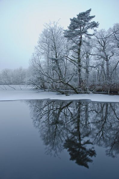 Den weerspiegelt in water van Remco Swiers