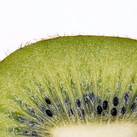 Kiwi van Tom Van den Bossche