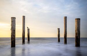 Village de palmiers de Petten au coucher du soleil. sur Corné Ouwehand