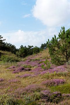 Paars sprookjespad op Vlieland van Margot van den Berg