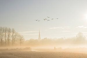 Mistig polders landschap van Marc Janson