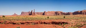 MONUMENT VALLEY Totem Pole